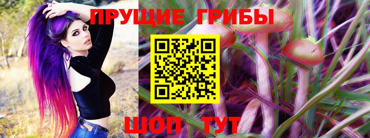 Выкса  Галлюциногенные грибы мицелий  цена наркотик  Вход с VPN  Галлюциногенные грибы GOLDEN TEACHER 